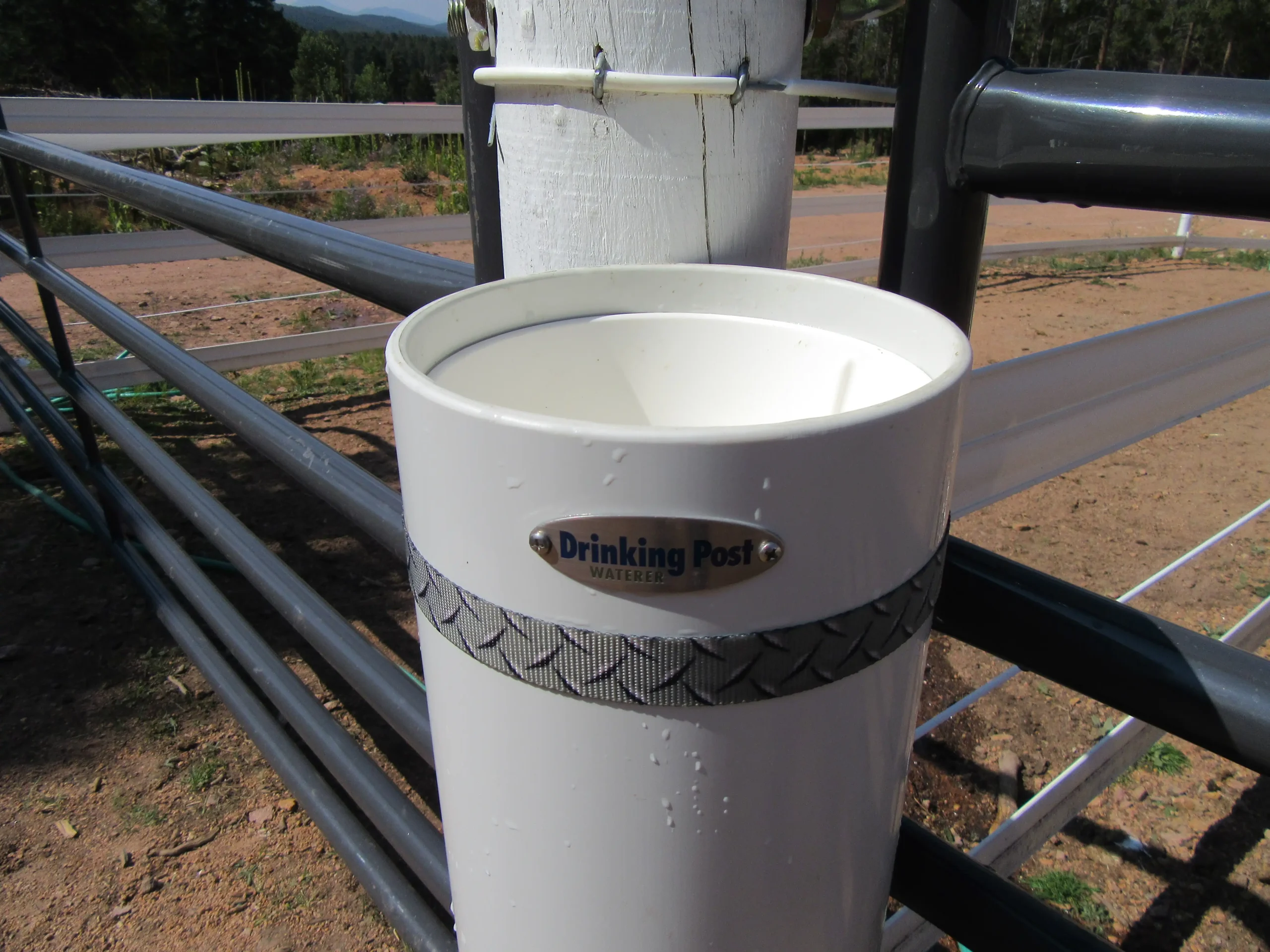 Home portable waterer rachet strap copy scaled
